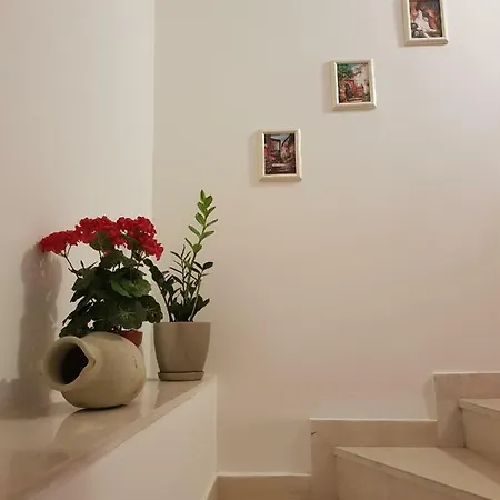 St. Nicola's * בודווה